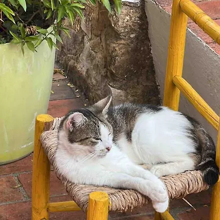 Casa Oliveira Dom wakacyjny *