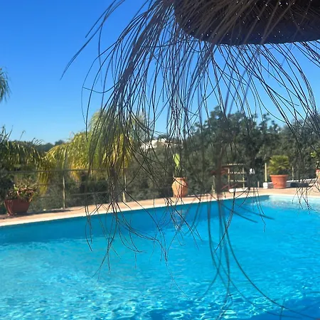 Dom wakacyjny Casa Oliveira *