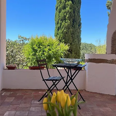 Dom wakacyjny Casa Oliveira