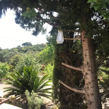 Dom wakacyjny Casa Oliveira
